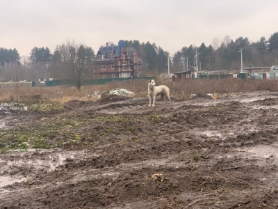 Поселок &laquo;Ламбери&raquo; утонул во вранье